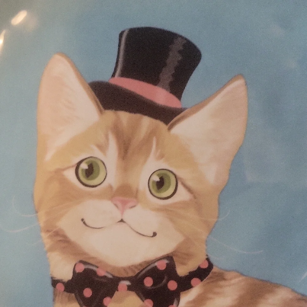 Pier 1 Set Of 3 Ironstone Party Cat Salad Plates
